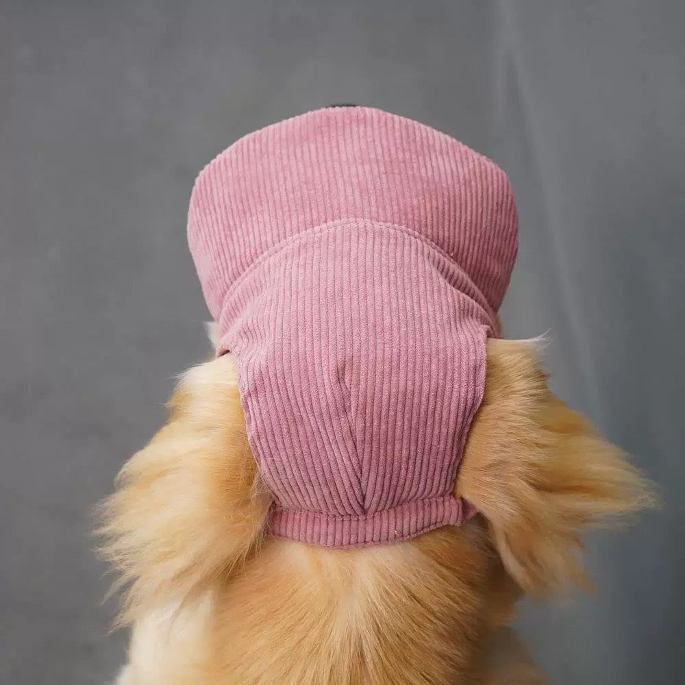 Corduroy Puppy Hat