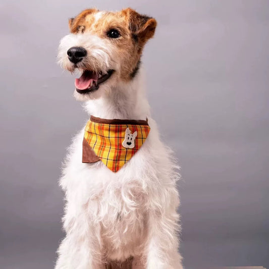 Dog Bandana