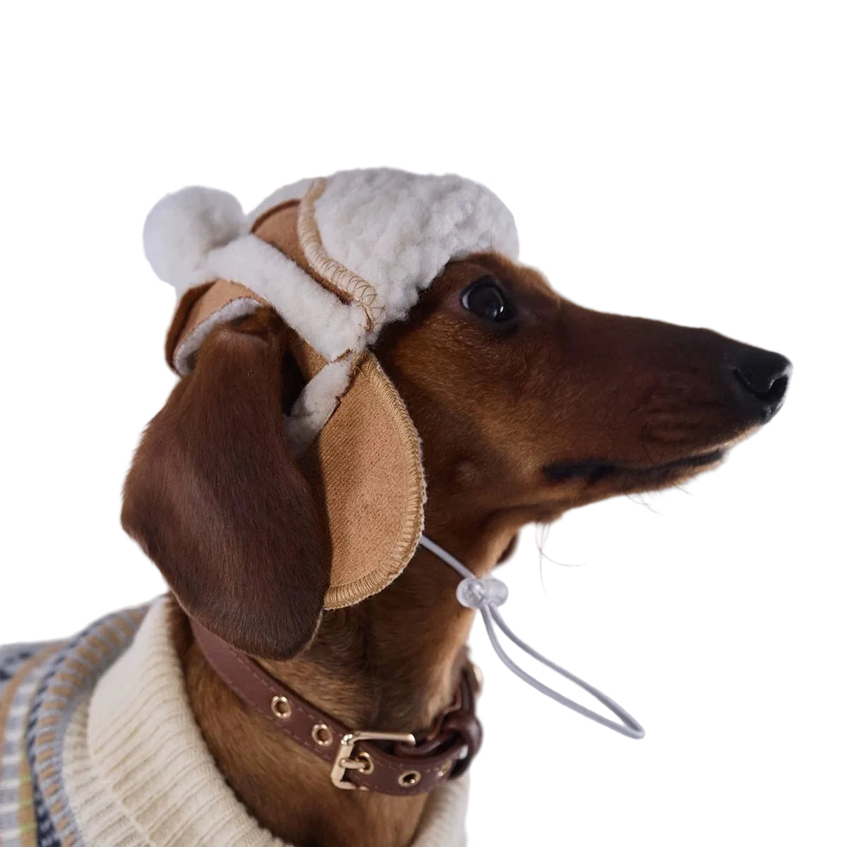 Lambswool Dog Pilot Cap