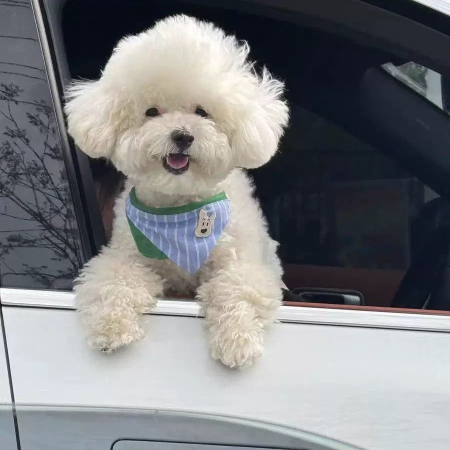 Dog Bandana