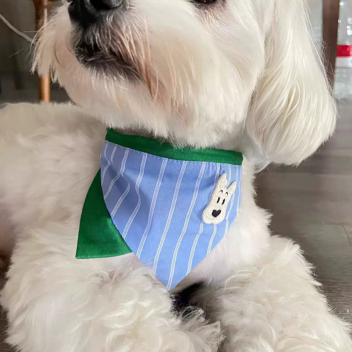 Dog Bandana