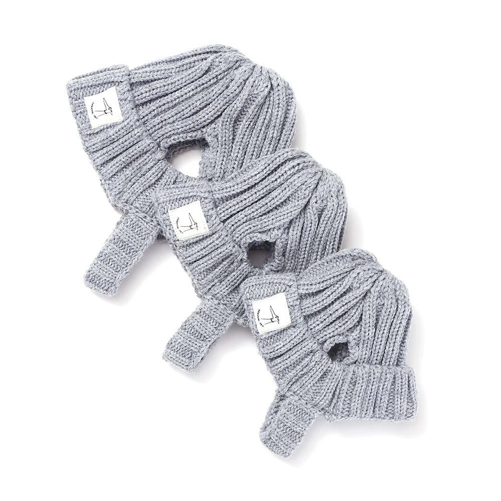 Dog Beanie