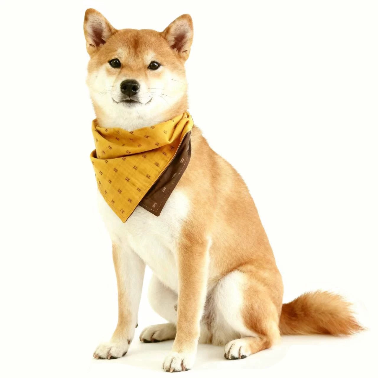 Gentleman-Style Modular Bandana for Dogs