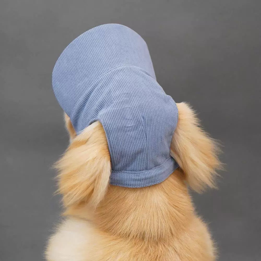 Corduroy Puppy Hat