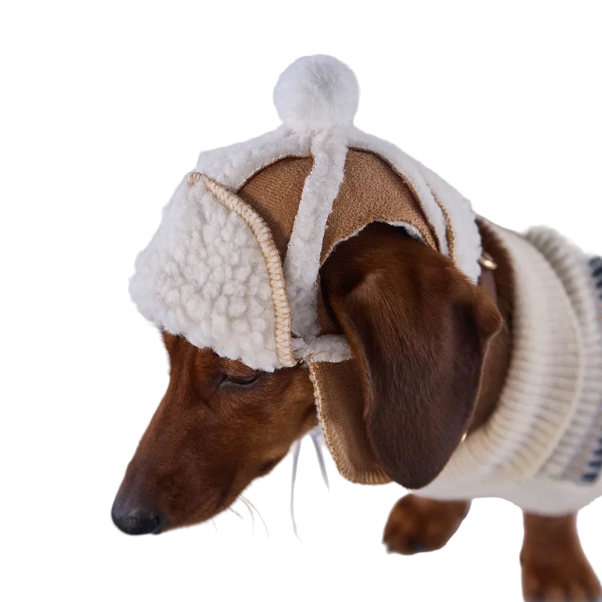 Lambswool Dog Pilot Cap