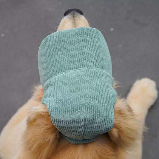 Corduroy Puppy Hat