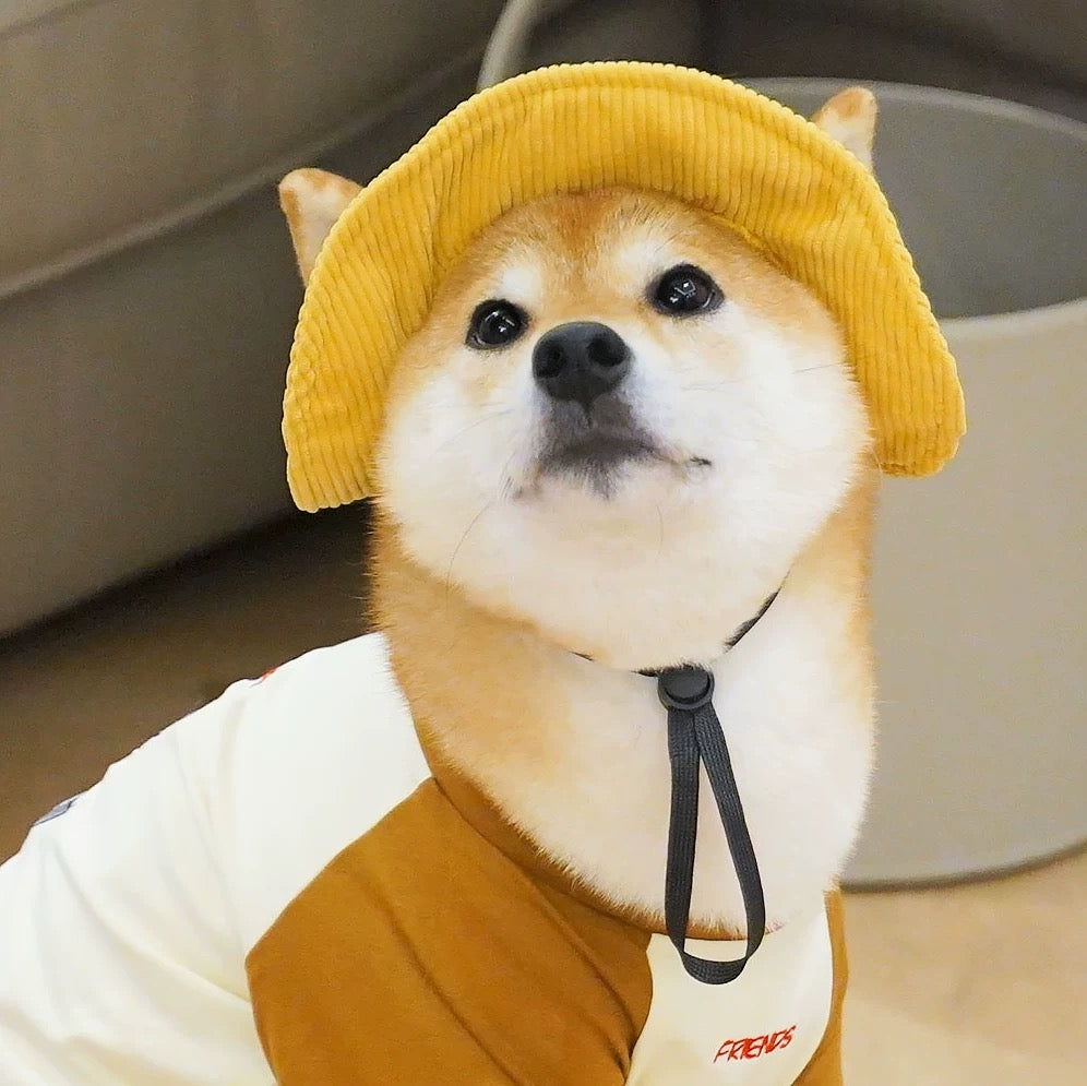 Corduroy Puppy Bucket Hat