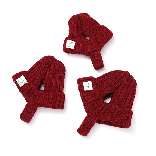 Dog Beanie