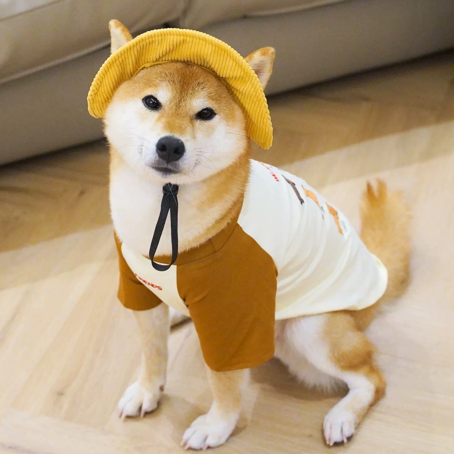 Corduroy Puppy Bucket Hat