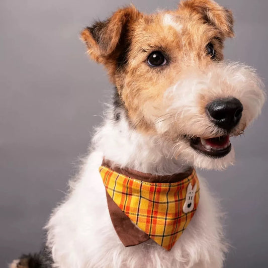 Dog Bandana