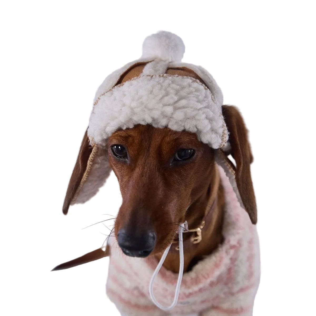 Lambswool Dog Pilot Cap