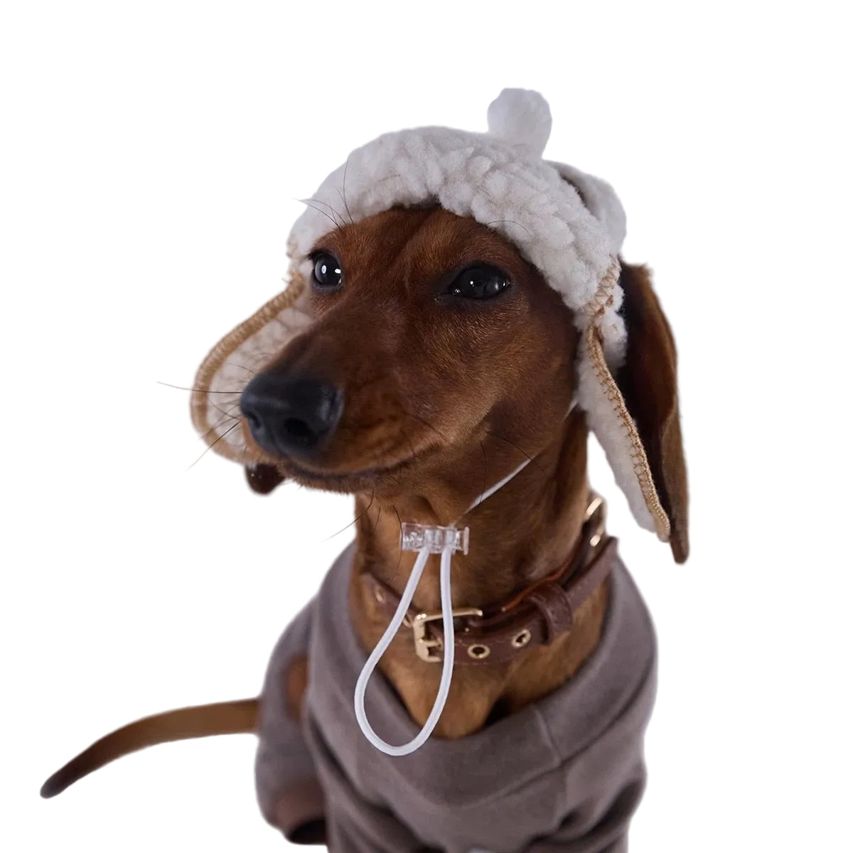 Lambswool Dog Pilot Cap