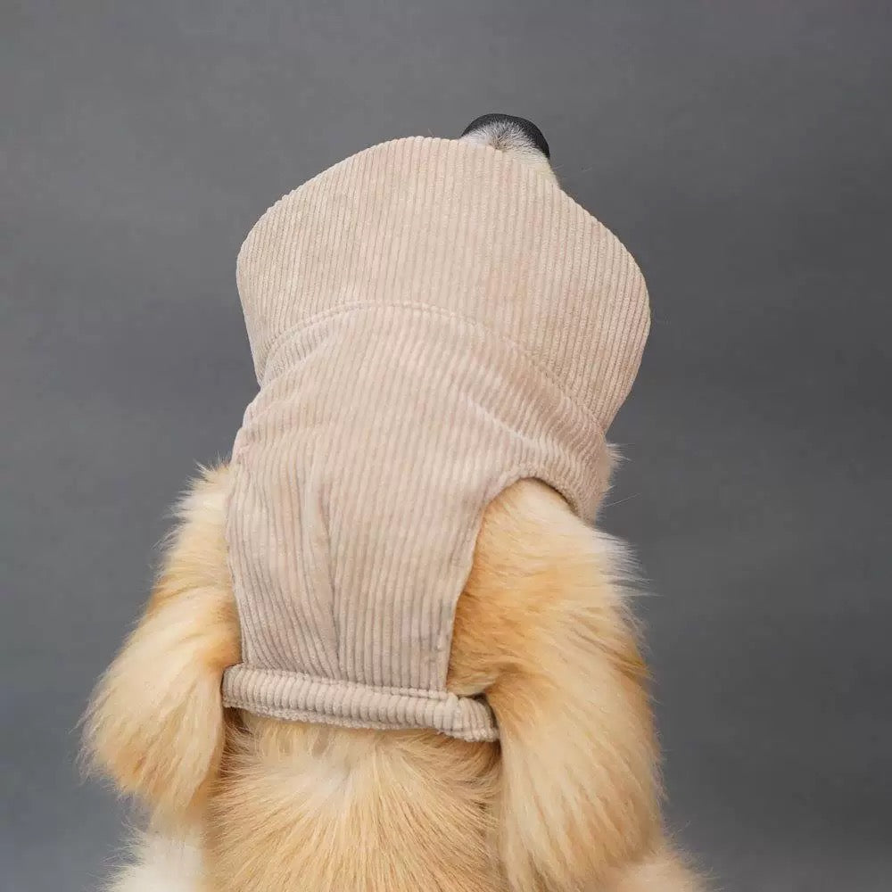 Corduroy Puppy Hat