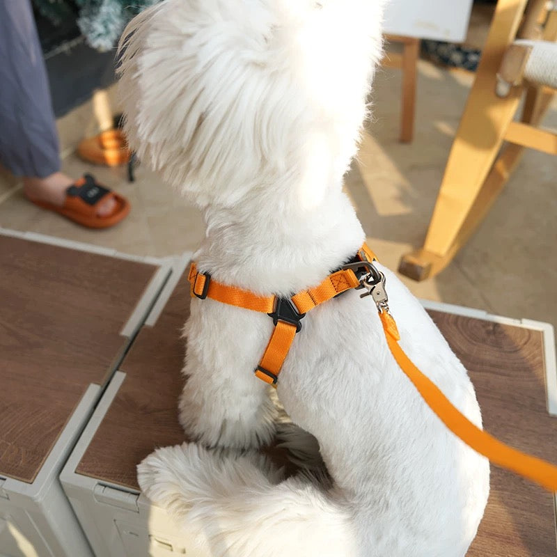YCQ PET Dog Harness Vest