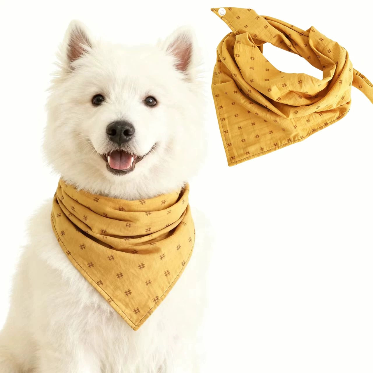 Gentleman-Style Modular Bandana for Dogs