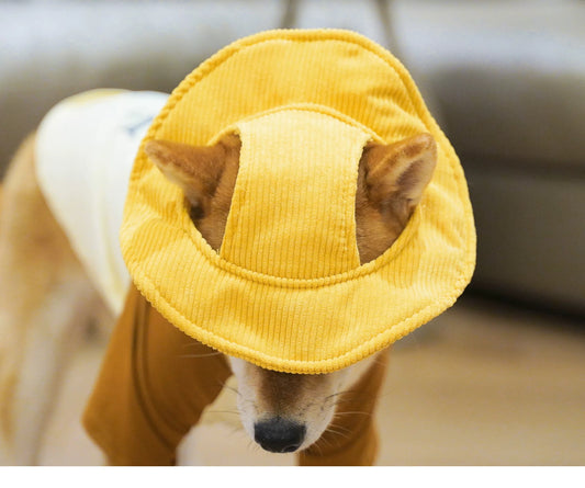 Corduroy Puppy Bucket Hat